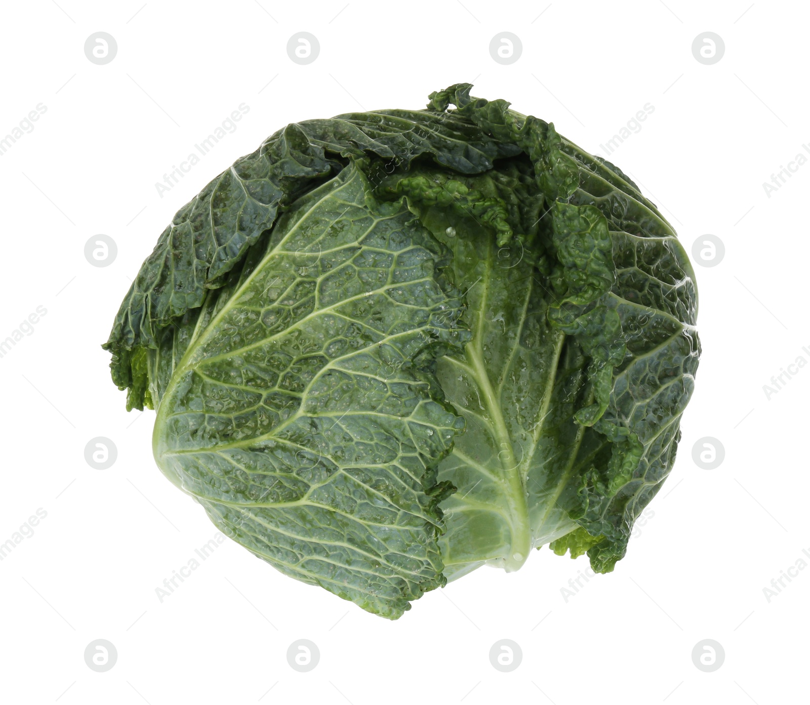 Photo of One fresh Savoy cabbage isolated on white