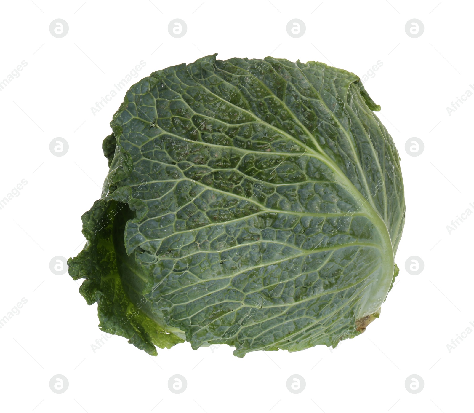 Photo of One fresh Savoy cabbage isolated on white