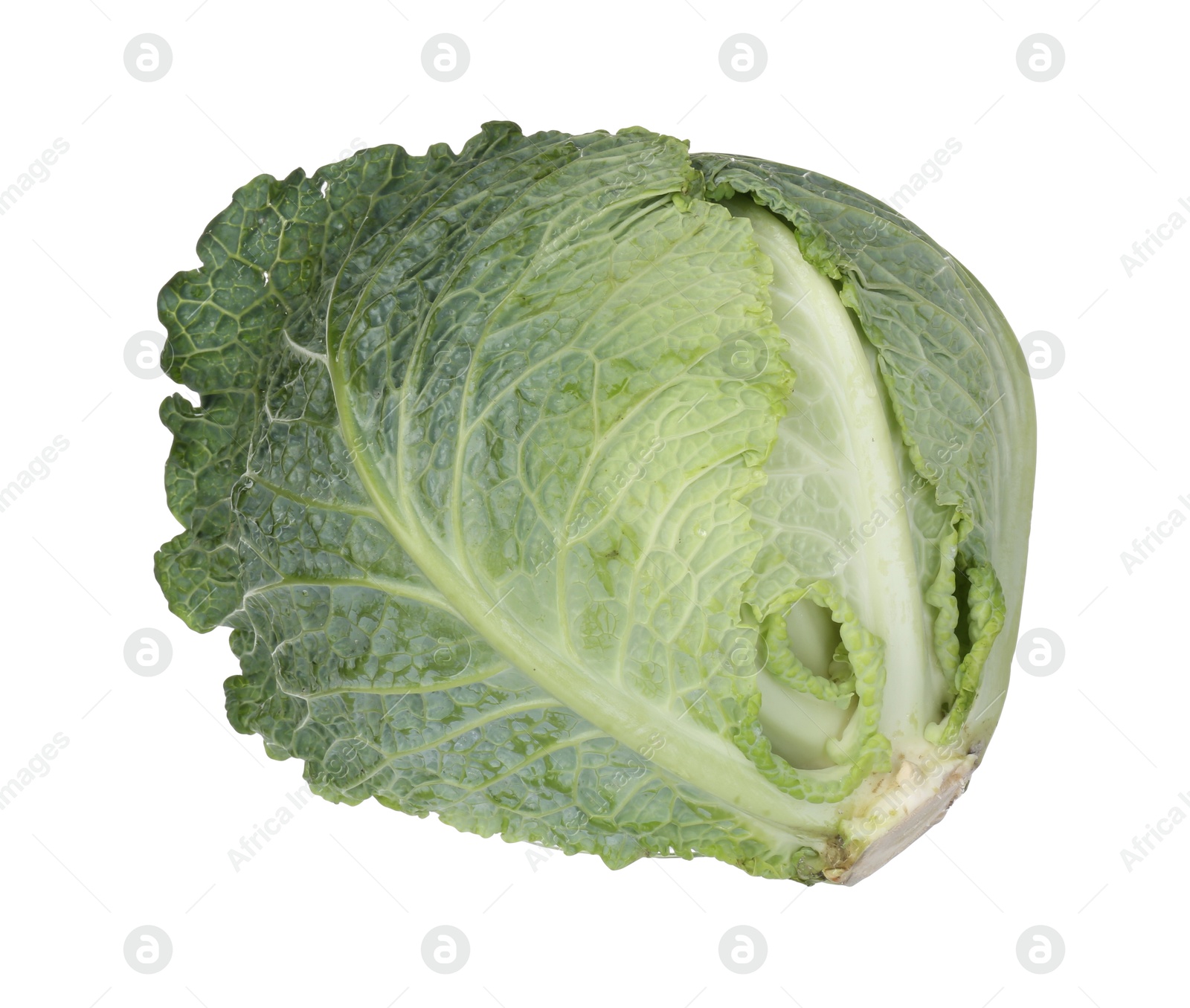 Photo of One fresh Savoy cabbage isolated on white