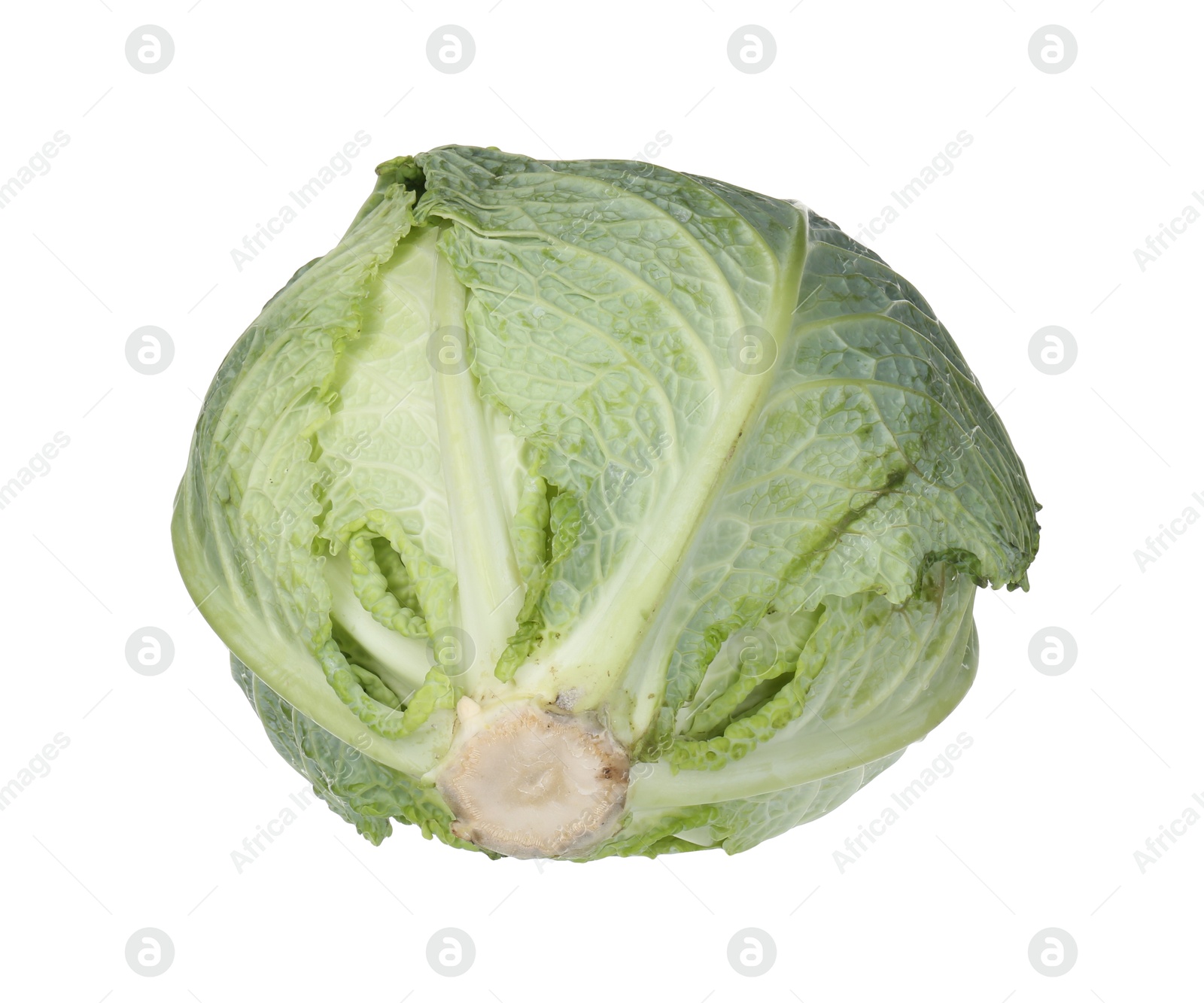 Photo of One fresh Savoy cabbage isolated on white