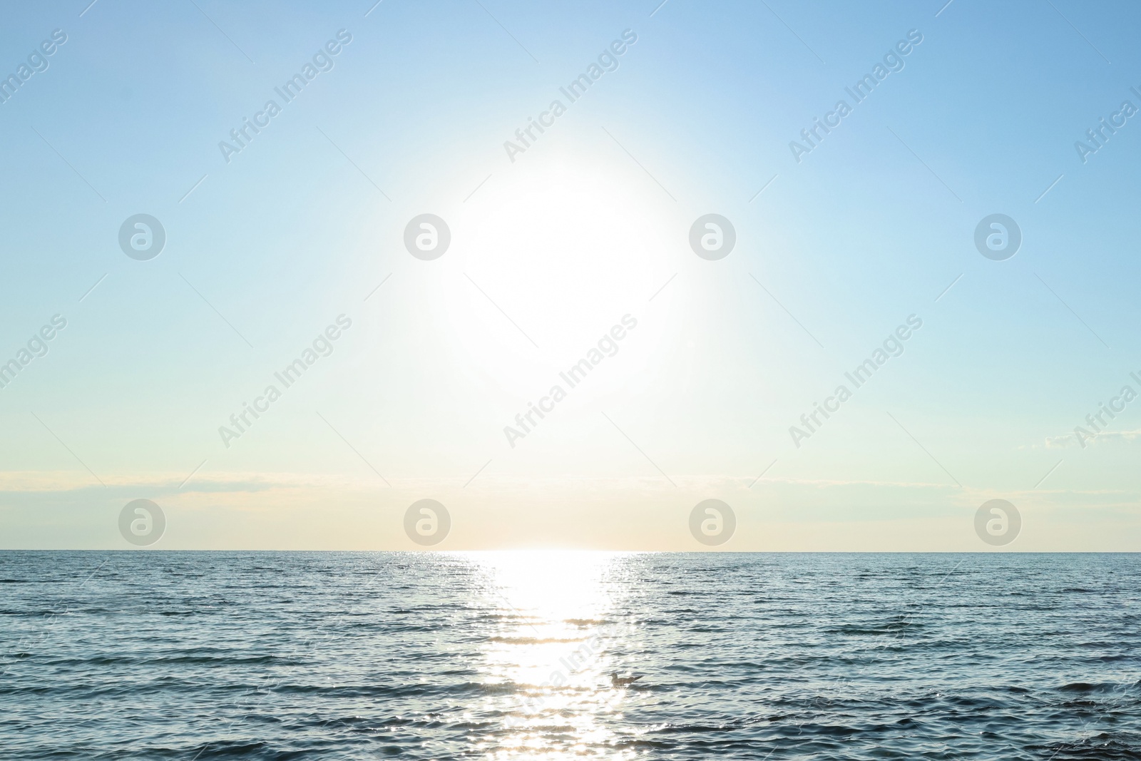 Photo of Beautiful wavy sea and sky on sunny day