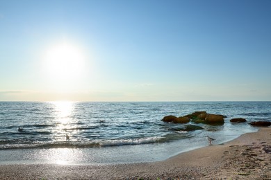 Photo of Beautiful wavy sea, seagulls, stones and sandy beach