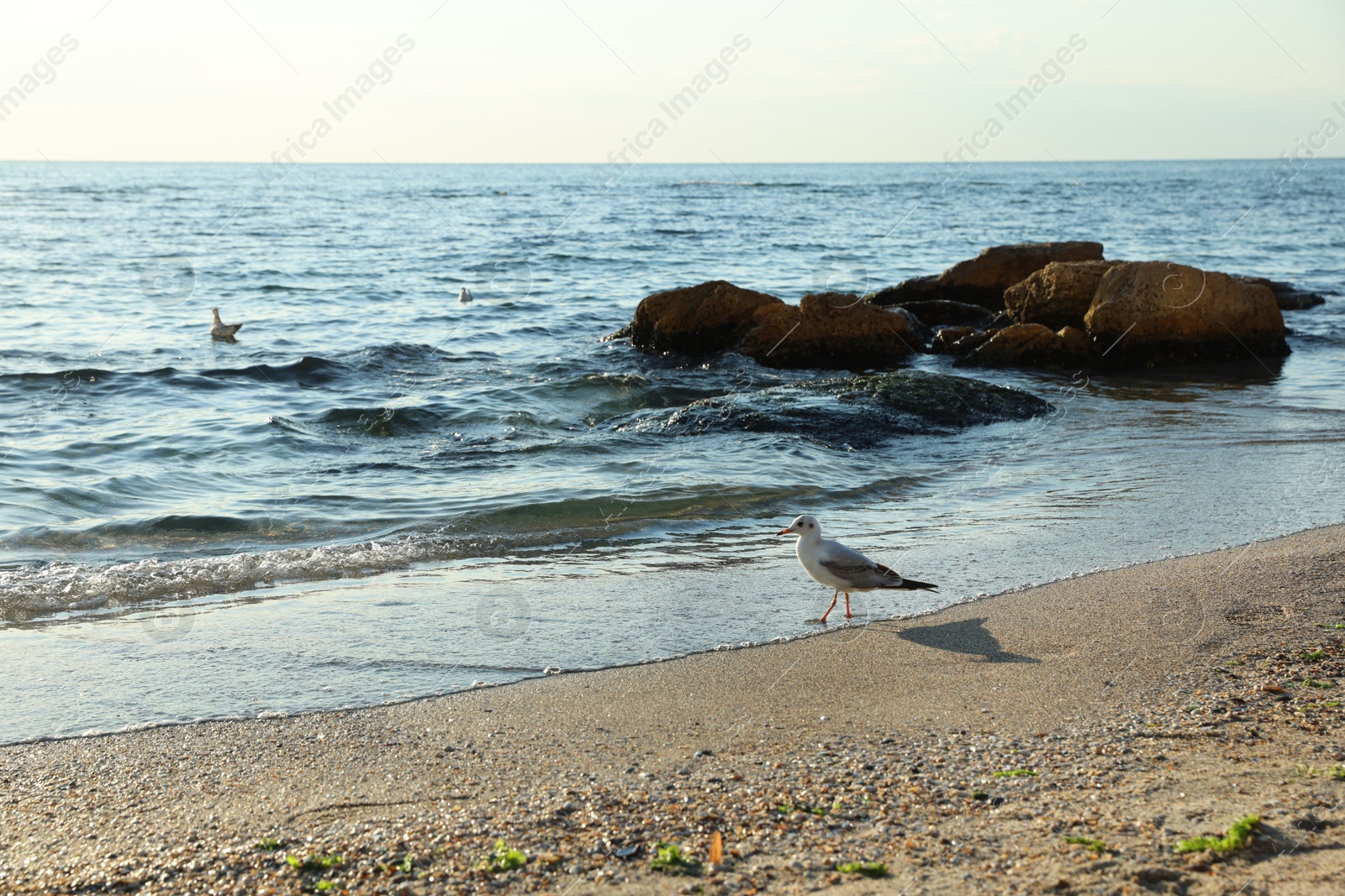 Photo of Beautiful wavy sea, stones and sandy beach
