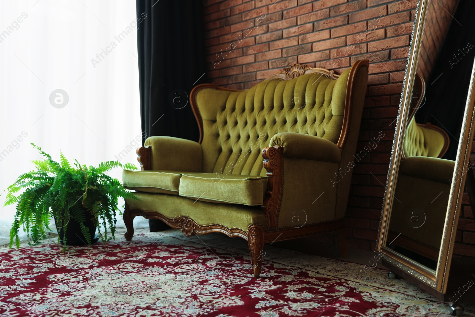 Photo of Green retro sofa, mirror and houseplant in room. Interior design