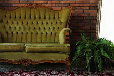 Photo of Green retro sofa, mirror and houseplant in room. Interior design