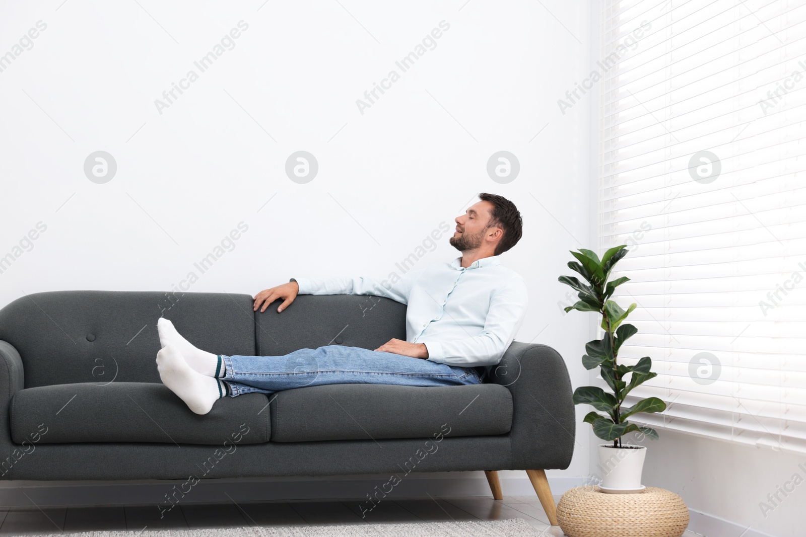Photo of Happy man resting on sofa at home. Space for text