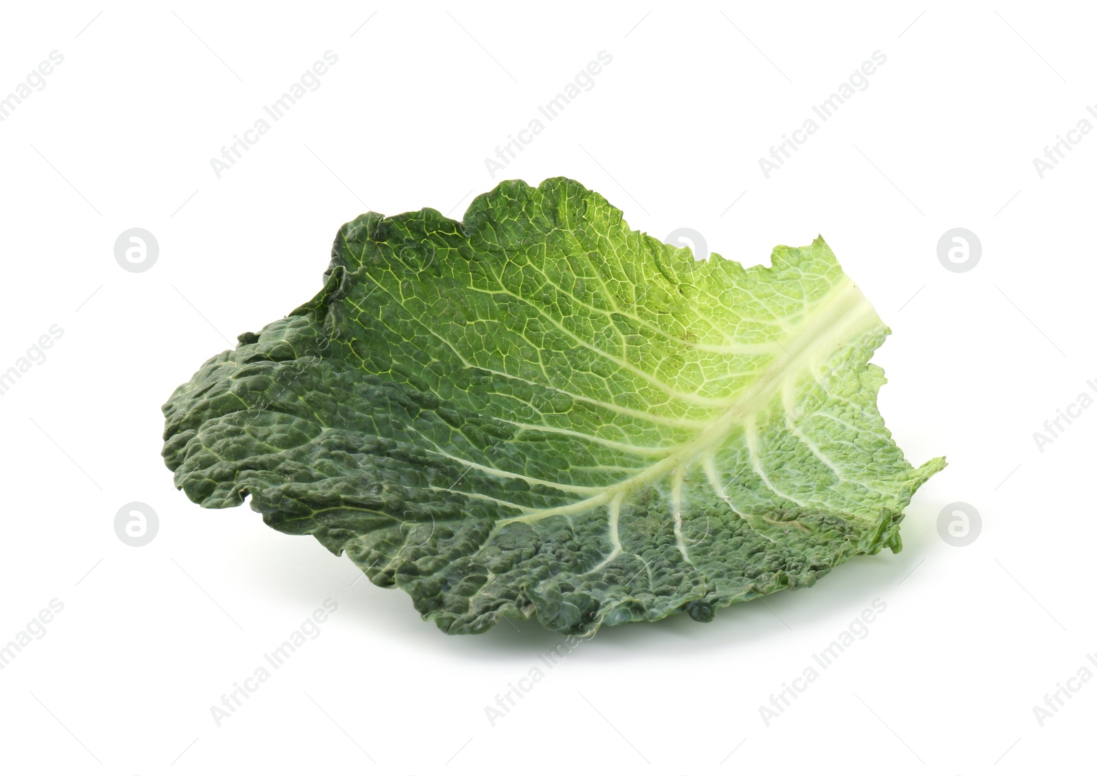 Photo of Fresh Savoy cabbage leaf isolated on white