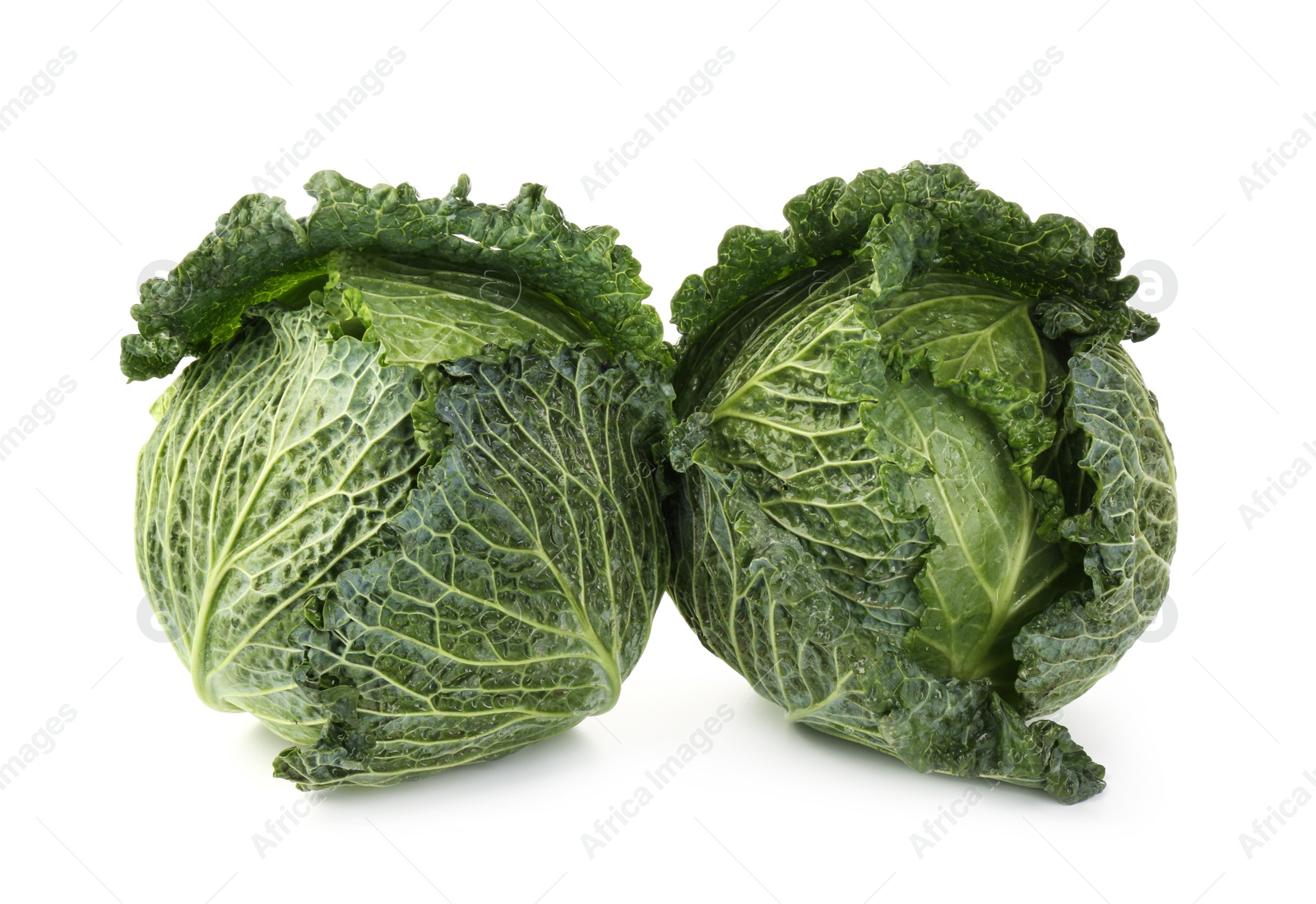 Photo of Fresh ripe Savoy cabbages isolated on white