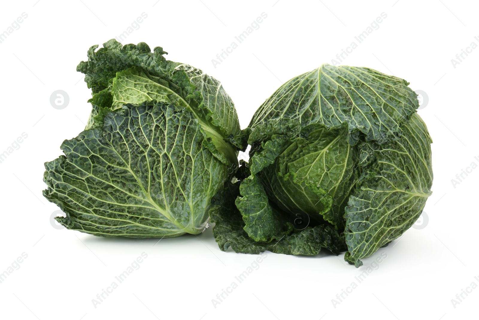 Photo of Fresh ripe Savoy cabbages isolated on white