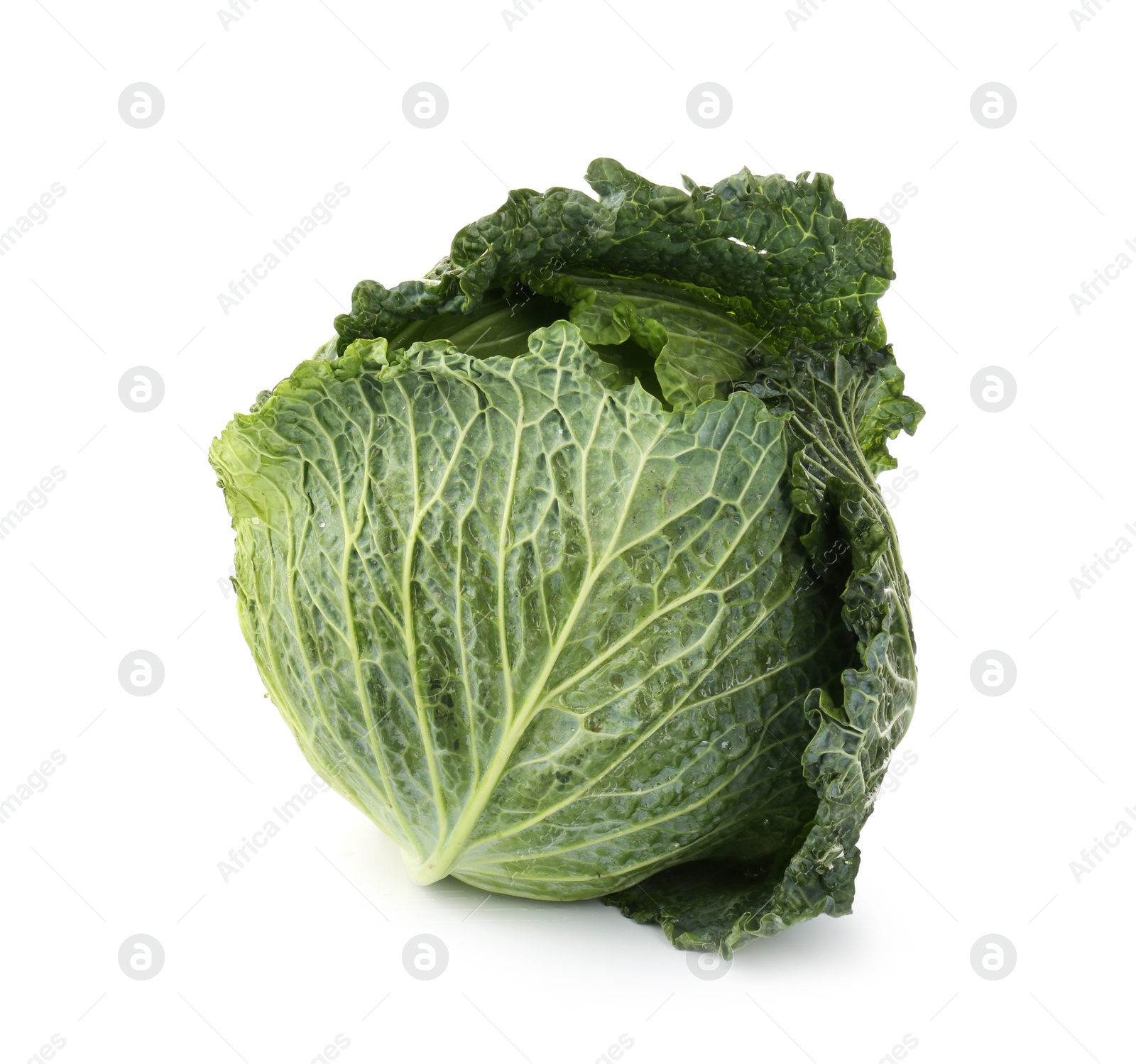 Photo of One fresh Savoy cabbage isolated on white