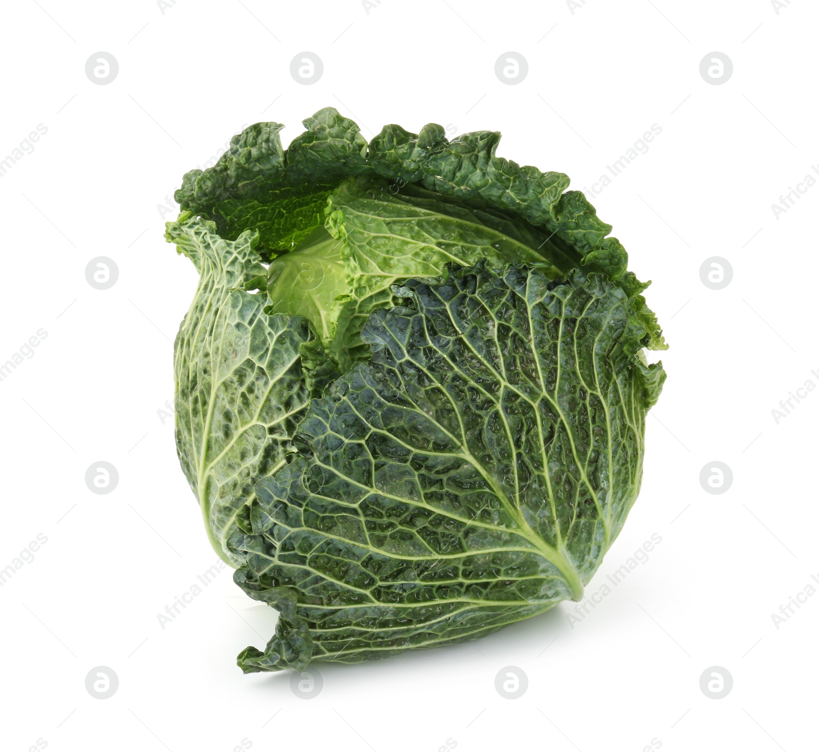 Photo of One fresh Savoy cabbage isolated on white
