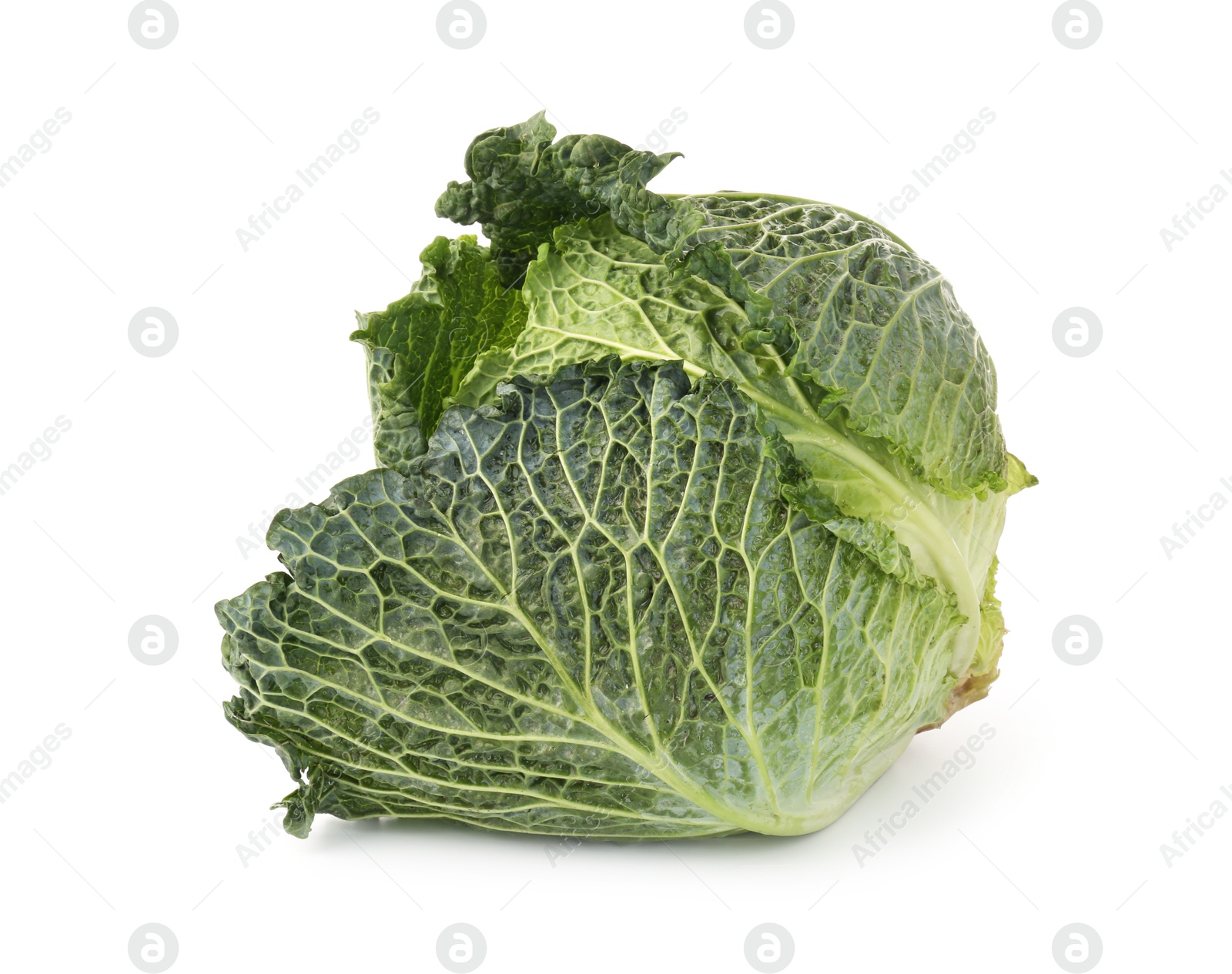 Photo of One fresh Savoy cabbage isolated on white