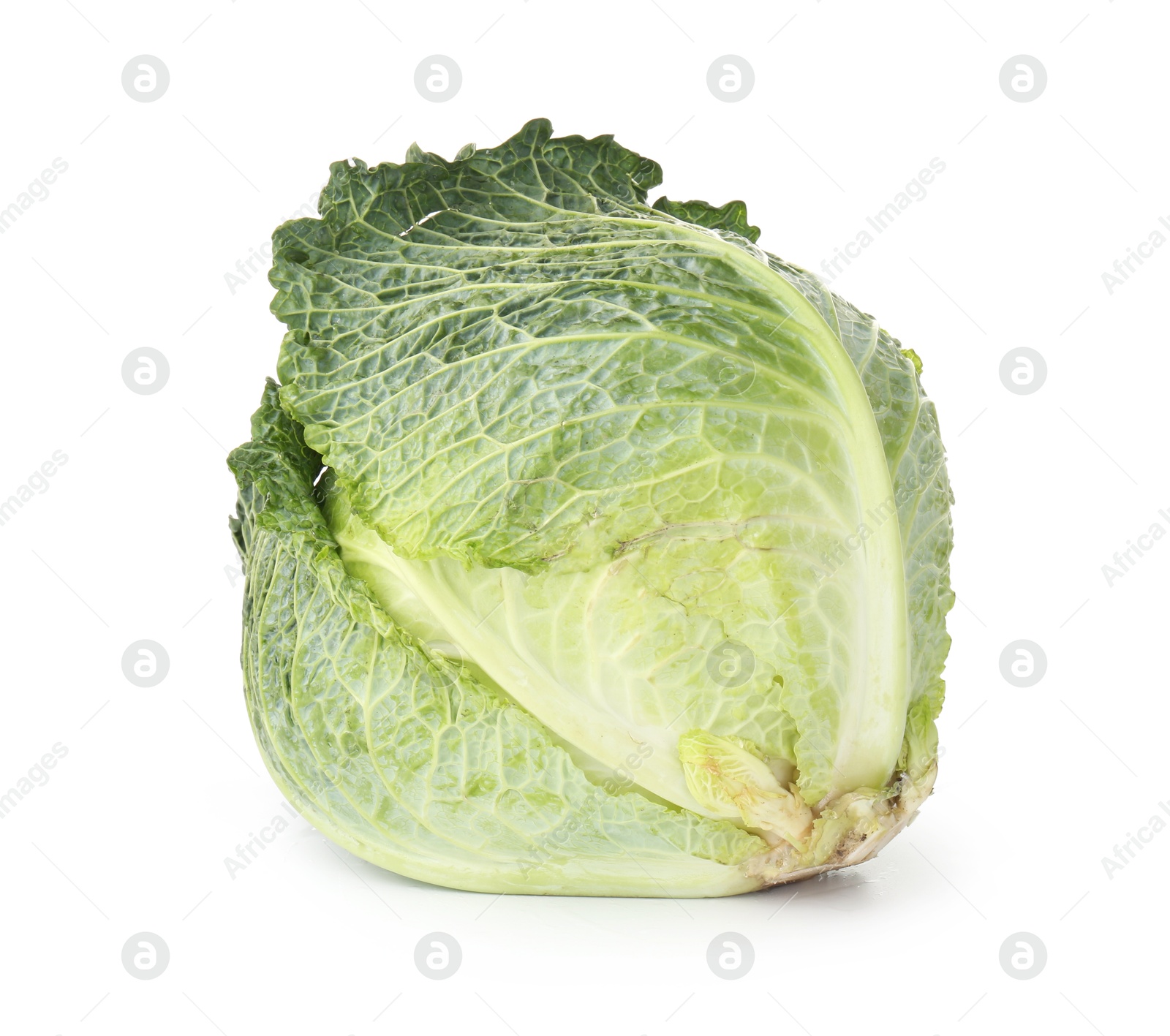 Photo of One fresh Savoy cabbage isolated on white