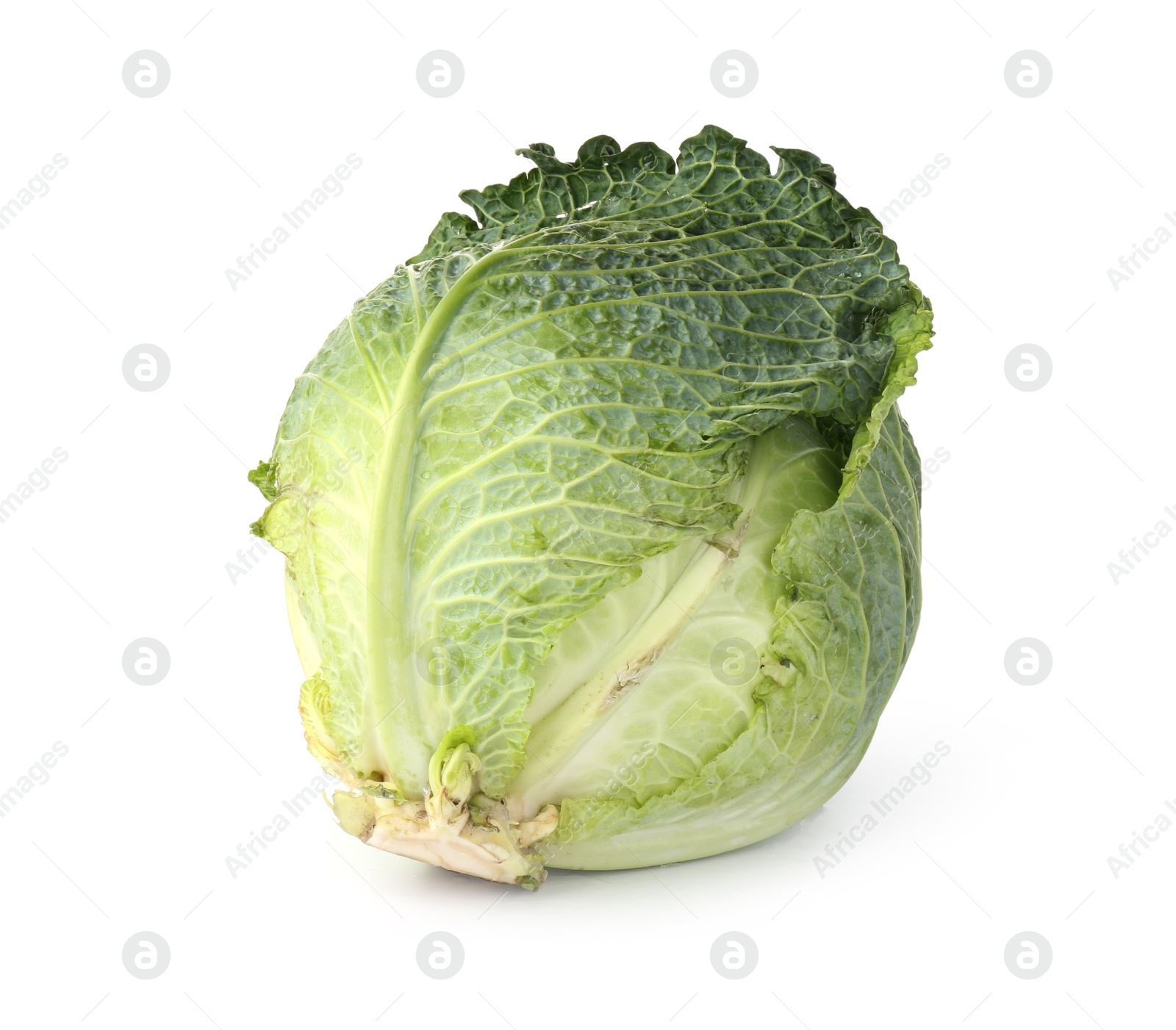 Photo of One fresh Savoy cabbage isolated on white