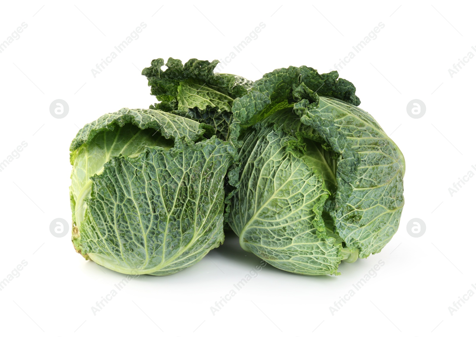 Photo of Fresh ripe Savoy cabbages isolated on white