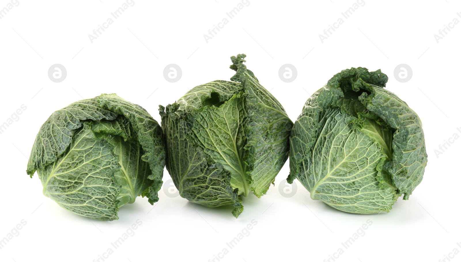 Photo of Fresh ripe Savoy cabbages isolated on white