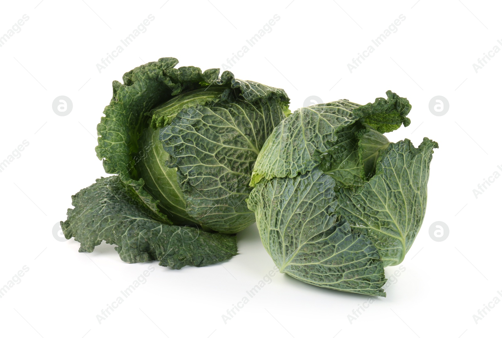 Photo of Fresh ripe Savoy cabbages isolated on white