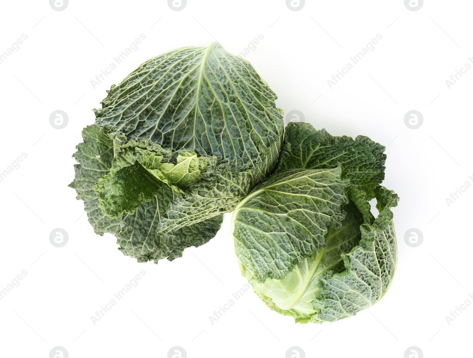 Photo of Fresh ripe Savoy cabbages isolated on white, top view