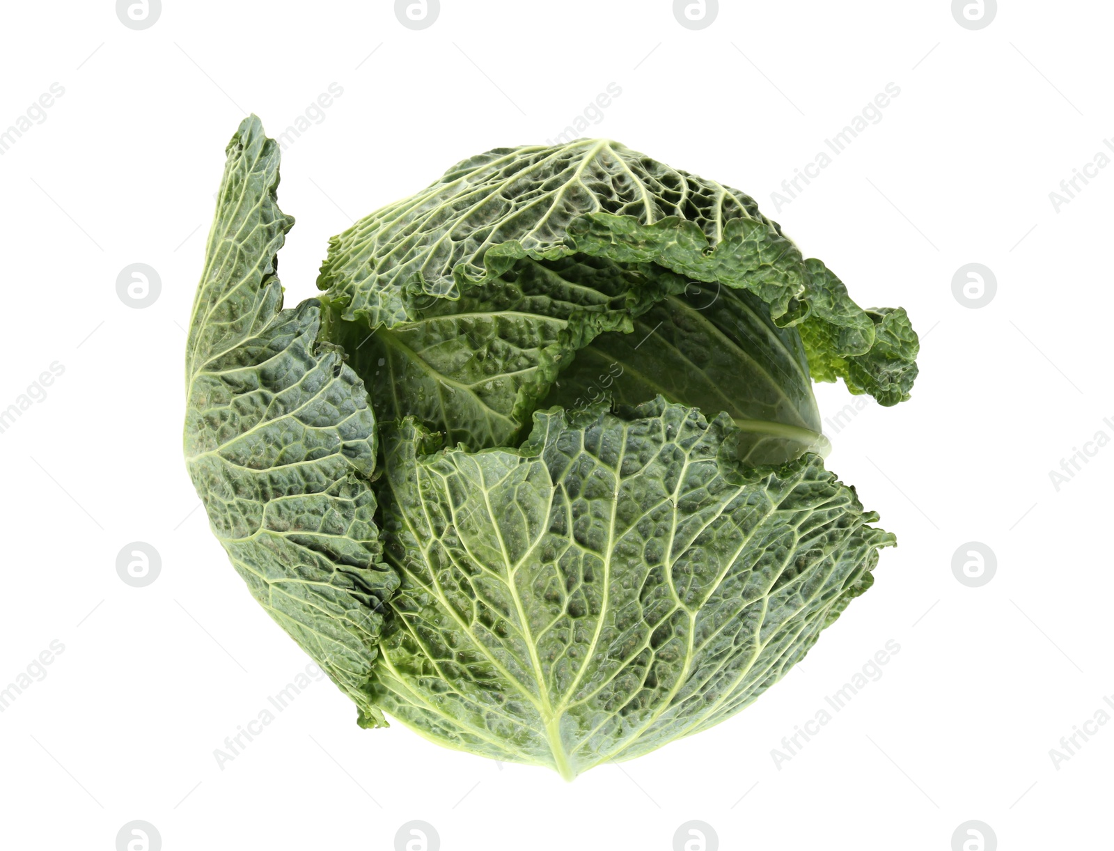 Photo of One fresh Savoy cabbage isolated on white, top view