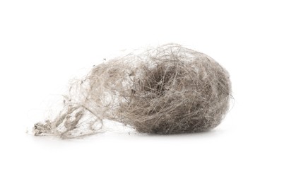 Photo of One clump of dust isolated on white