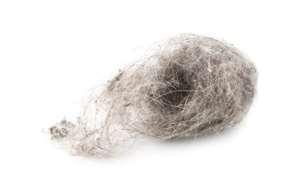 Photo of One clump of dust isolated on white