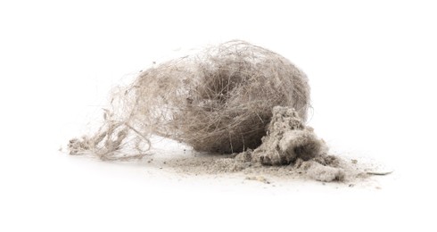 Photo of Small clumps of dust isolated on white