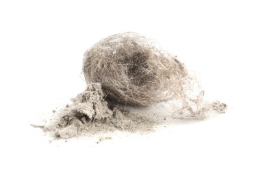 Photo of Small clumps of dust isolated on white