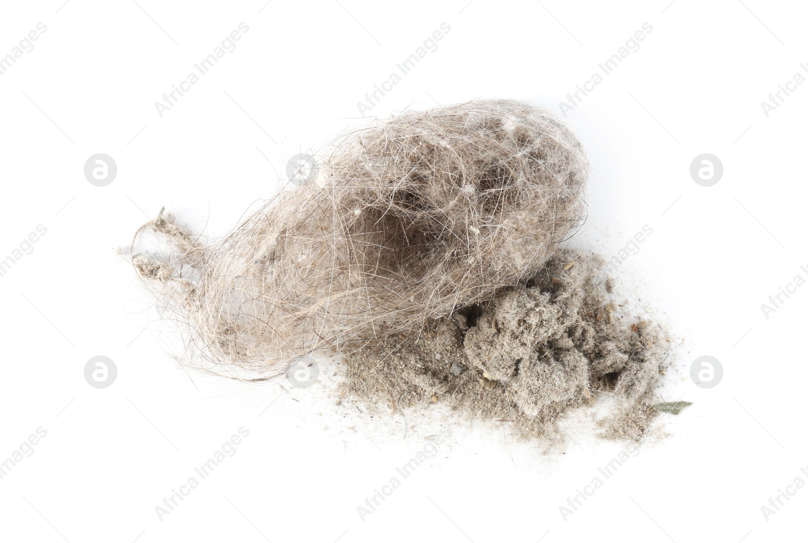 Photo of Small clumps of dust isolated on white, top view