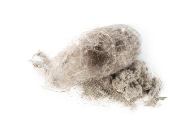Photo of Small clumps of dust isolated on white, top view