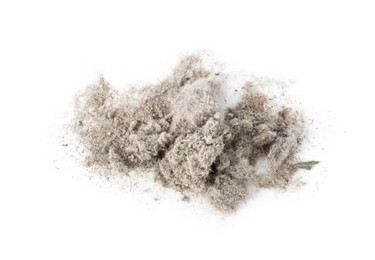 Photo of Small clumps of dust isolated on white, top view
