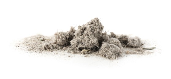 Photo of Small clumps of dust isolated on white