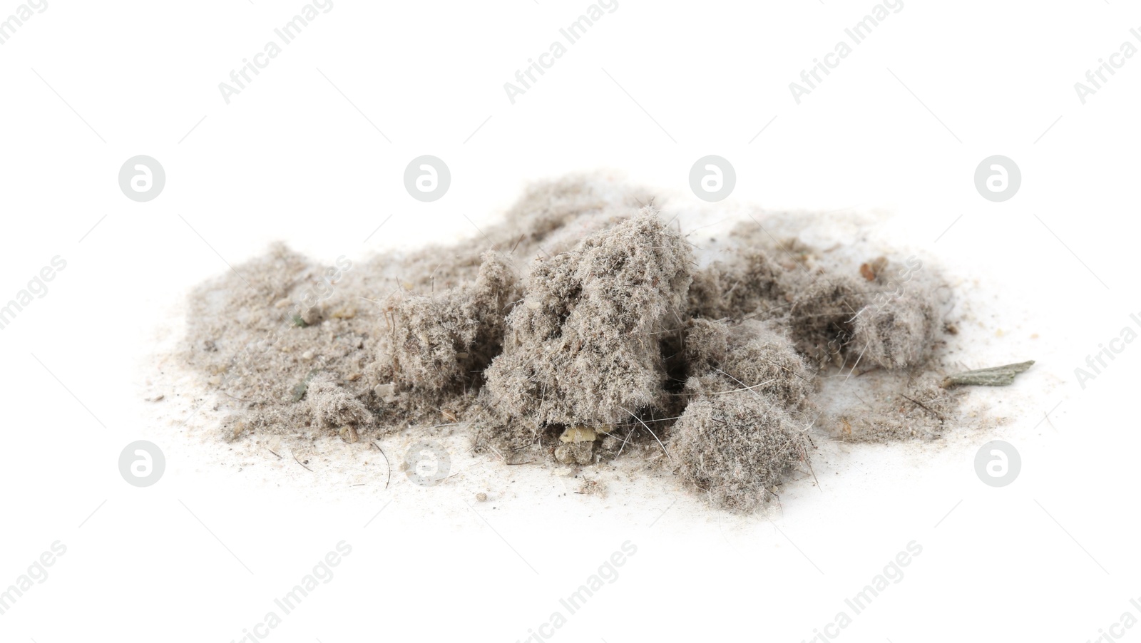 Small clumps of dust isolated on white Photo of Small clumps of dust isolated on white