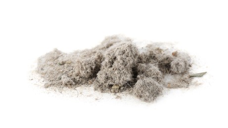 Photo of Small clumps of dust isolated on white