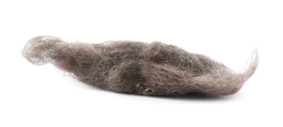 Photo of One clump of dust isolated on white