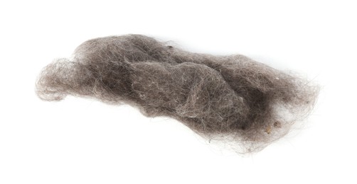 Photo of One clump of dust isolated on white