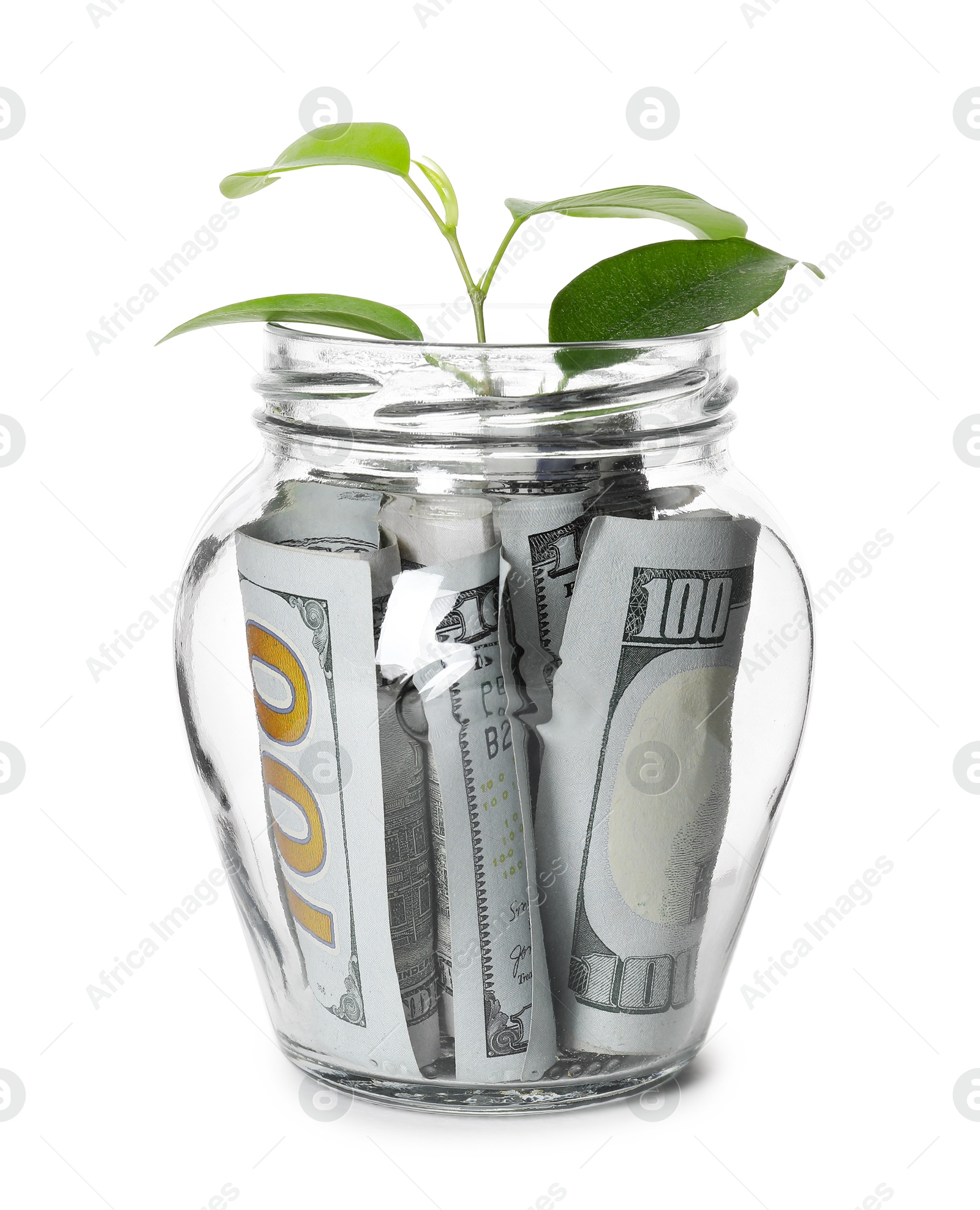 Photo of Glass jar with money and sprout isolated on white