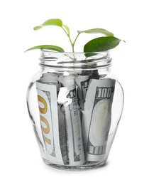 Photo of Glass jar with money and sprout isolated on white