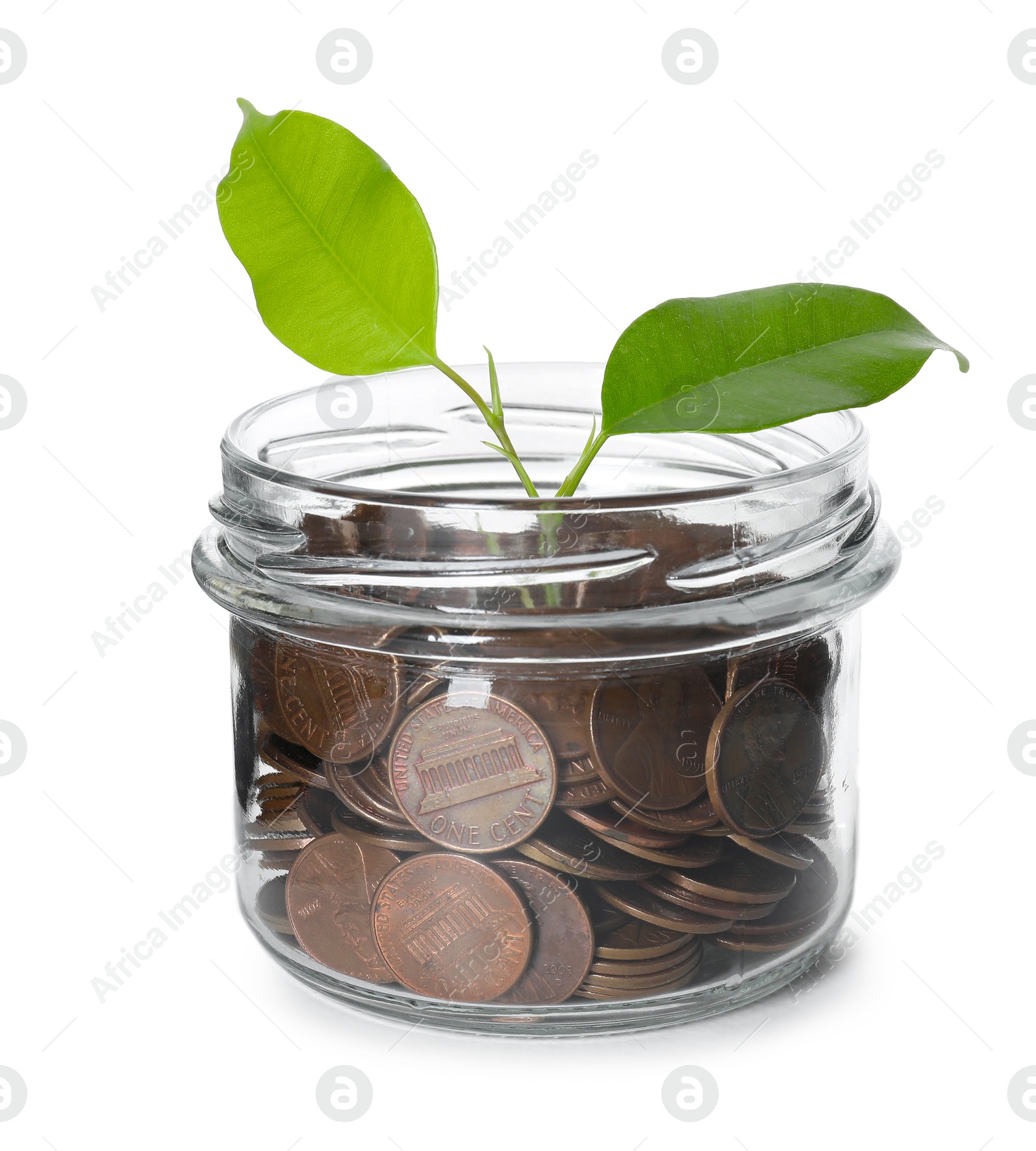 Photo of Glass jar with money and sprout isolated on white