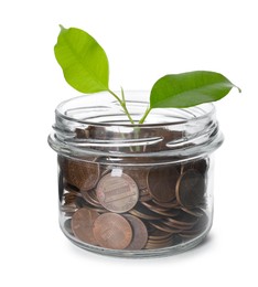 Photo of Glass jar with money and sprout isolated on white