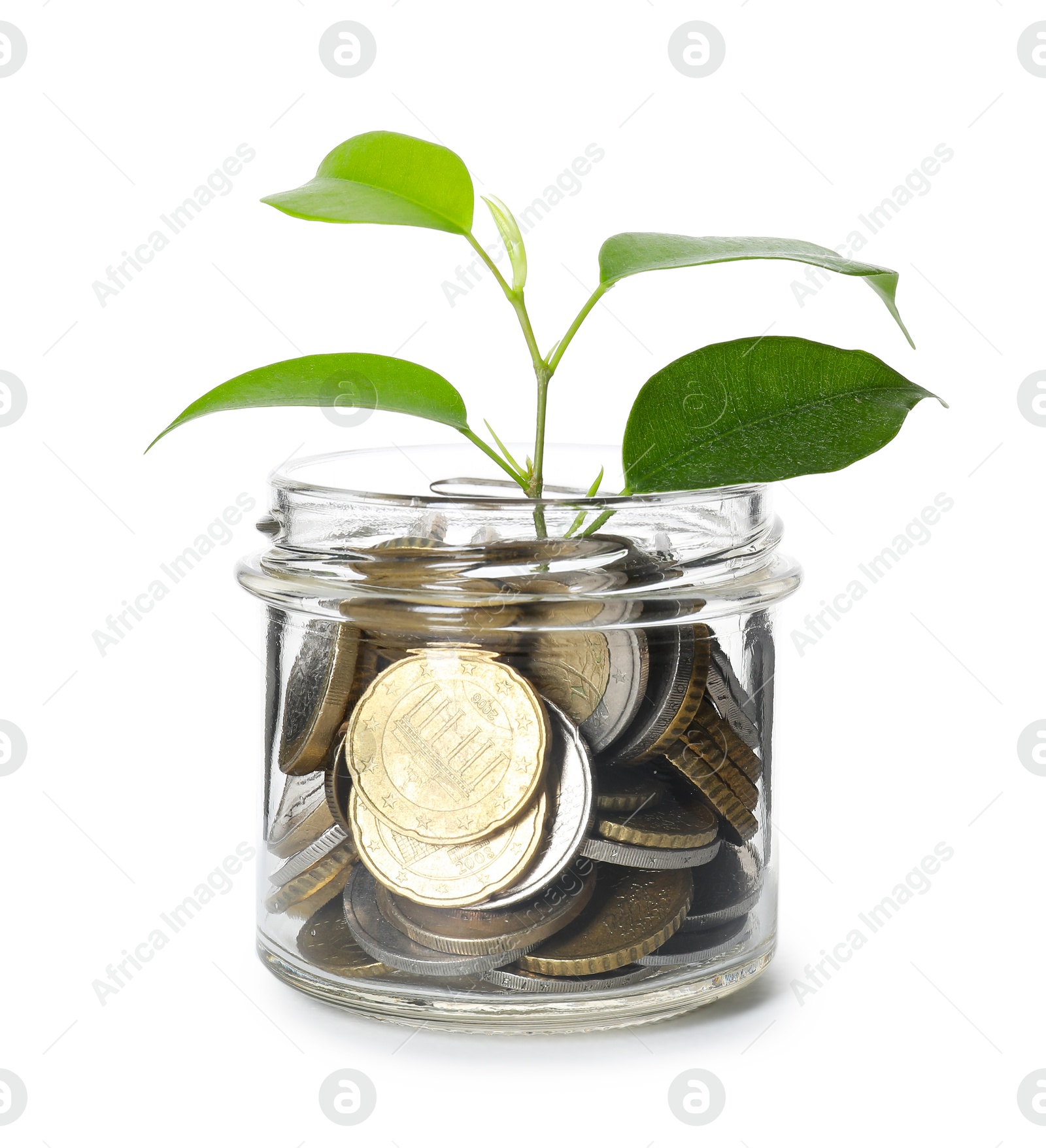 Photo of Glass jar with money and sprout isolated on white