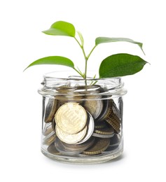 Photo of Glass jar with money and sprout isolated on white