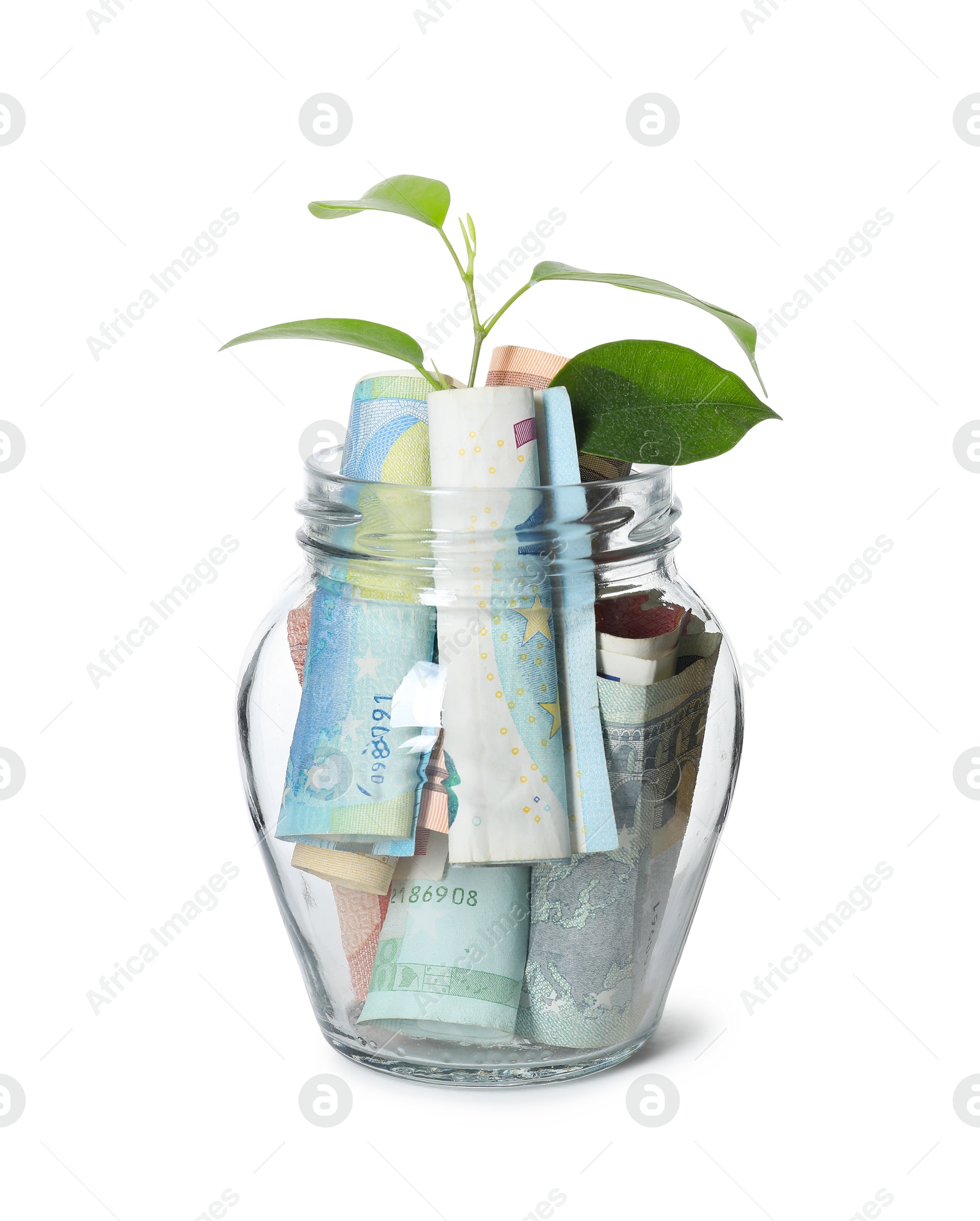 Photo of Glass jar with money and sprout isolated on white