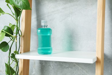 Photo of Bottle of mouthwash on shelf in bathroom