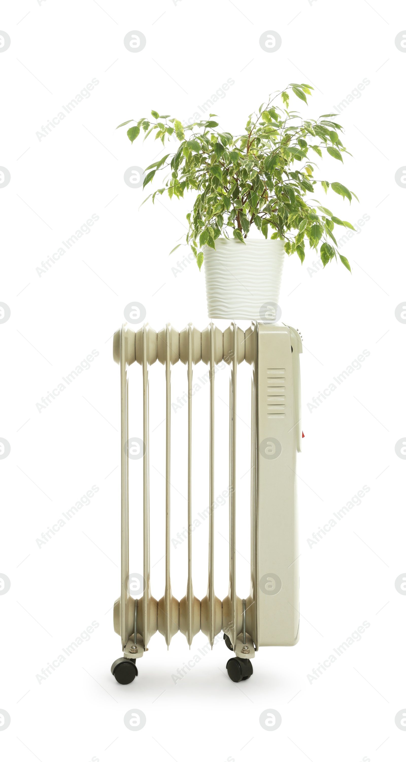 Photo of Electric heater and houseplant isolated on white. Used stuff