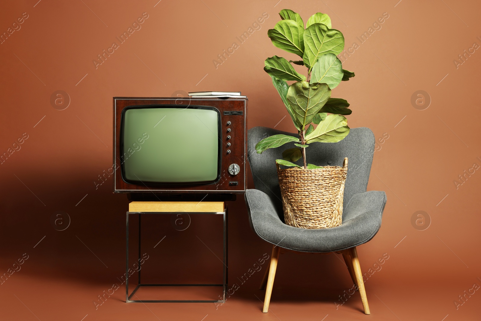 Photo of Retro TV set on stand, houseplant and armchair against brown background. Used stuff