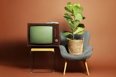 Photo of Retro TV set on stand, houseplant and armchair against brown background. Used stuff