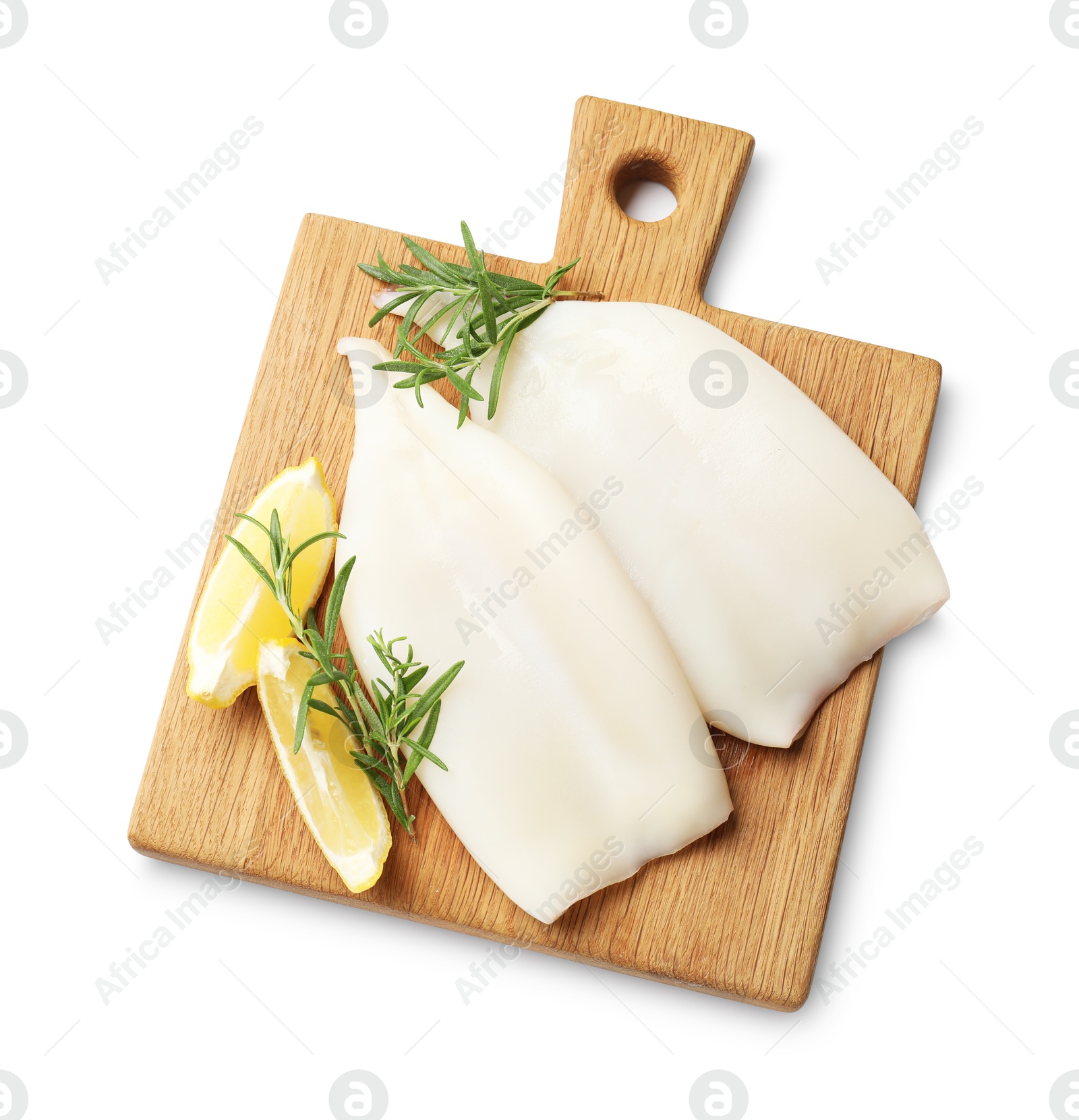 Uncooked squids with rosemary and lemon slices isolated on white, top view Photo of Uncooked squids with rosemary and lemon slices isolated on white, top view