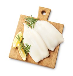 Photo of Uncooked squids with rosemary and lemon slices isolated on white, top view