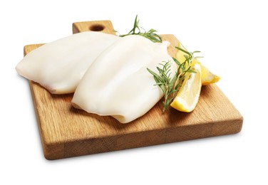 Photo of Uncooked squids with rosemary and lemon slices isolated on white