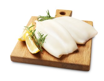 Photo of Uncooked squids with rosemary and lemon slices isolated on white